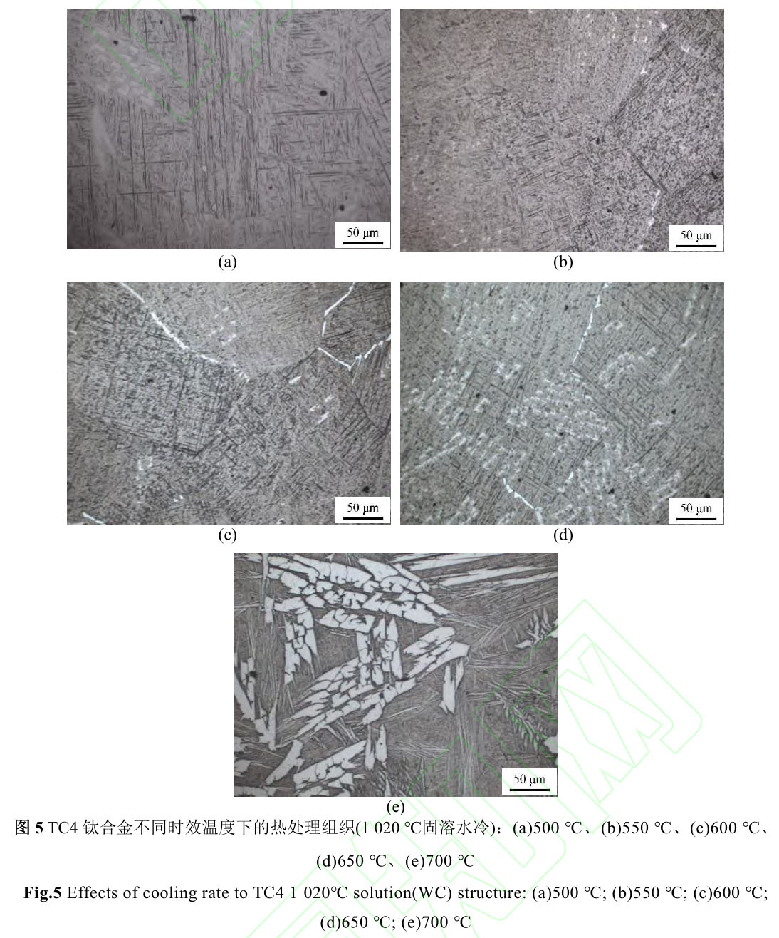 1720272856642477.jpg 圖5.jpg