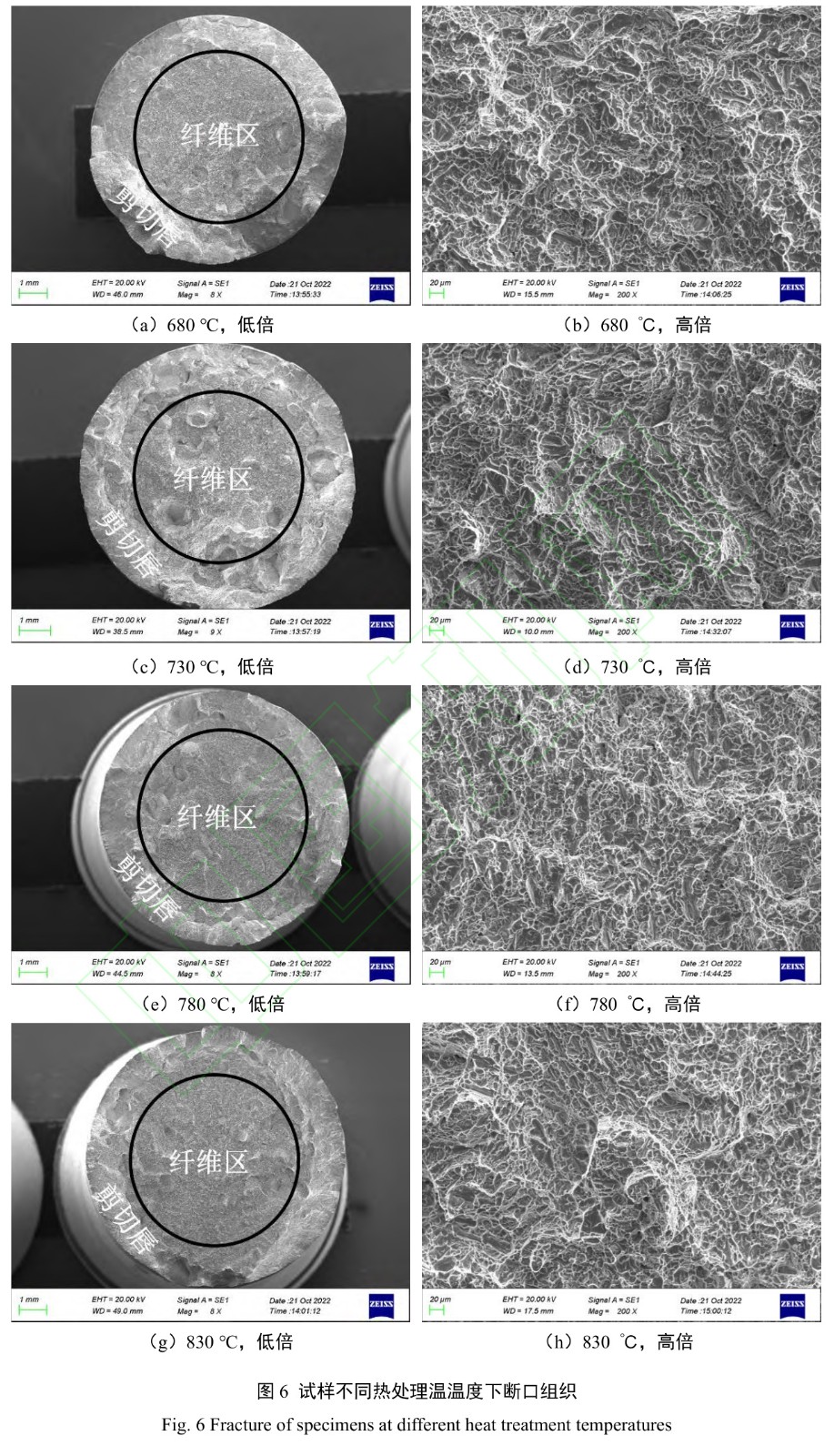 1728438369303756.jpg t6.jpg